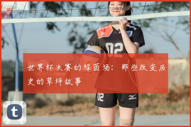 世界杯决赛的绿茵场：那些改变历史的草坪故事