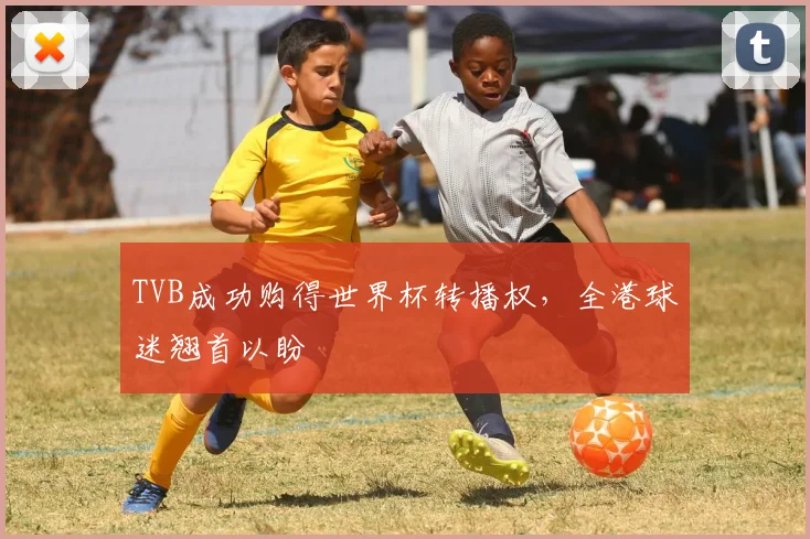 TVB成功购得世界杯转播权，全港球迷翘首以盼