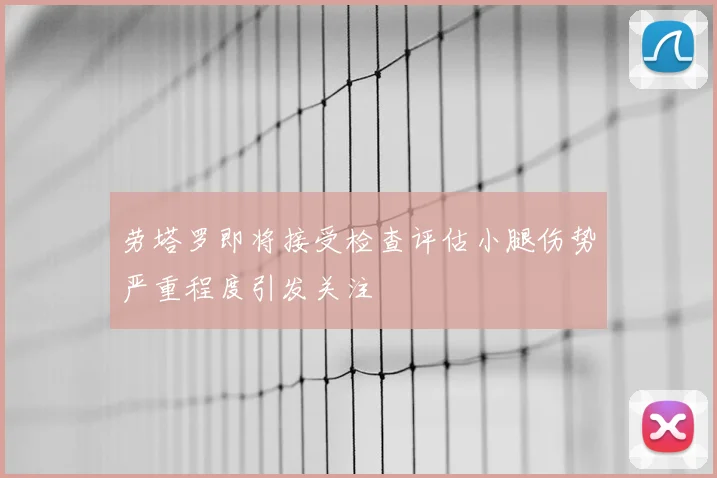 劳塔罗即将接受检查评估小腿伤势严重程度引发关注