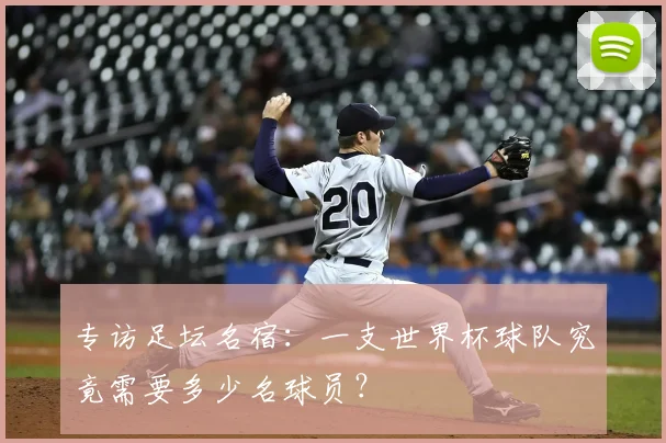 专访足坛名宿：一支世界杯球队究竟需要多少名球员？