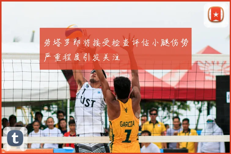 劳塔罗即将接受检查评估小腿伤势严重程度引发关注