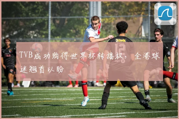 TVB成功购得世界杯转播权，全港球迷翘首以盼