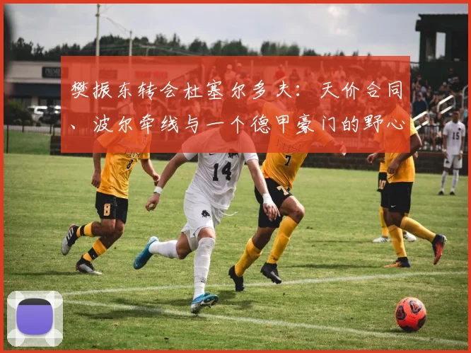 樊振东转会杜塞尔多夫：天价合同、波尔牵线与一个德甲豪门的野心
