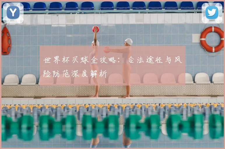 世界杯买球全攻略：合法途径与风险防范深度解析