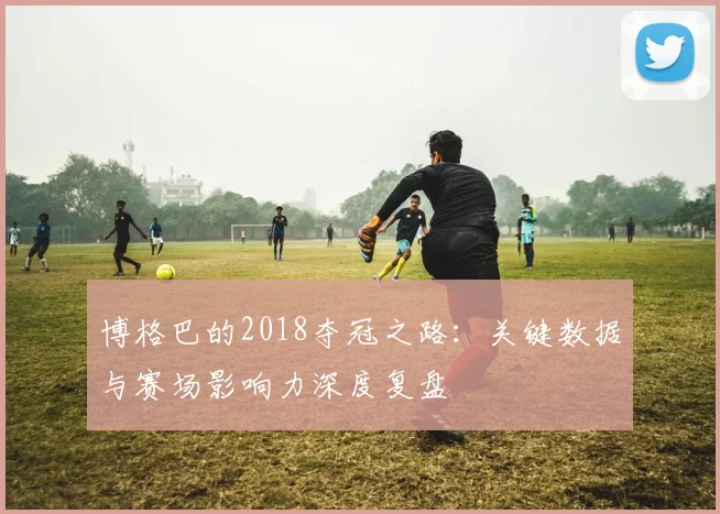 博格巴的2018夺冠之路：关键数据与赛场影响力深度复盘
