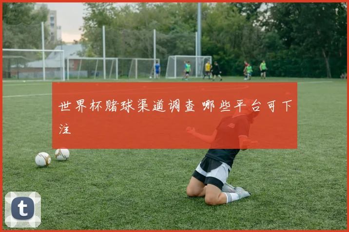 世界杯赌球渠道调查 哪些平台可下注