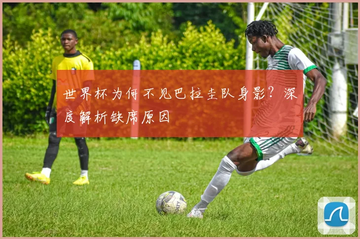 世界杯为何不见巴拉圭队身影？深度解析缺席原因