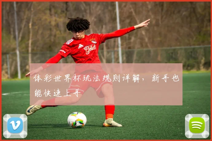 体彩世界杯玩法规则详解，新手也能快速上手