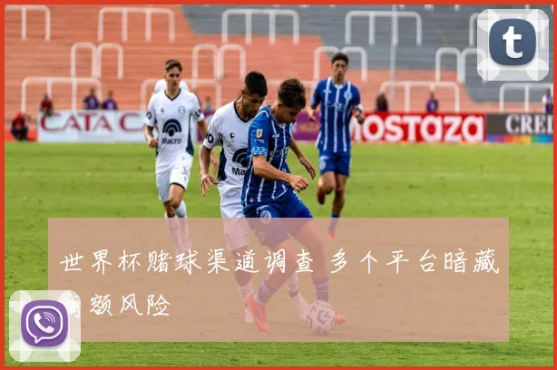 世界杯赌球渠道调查 多个平台暗藏高额风险