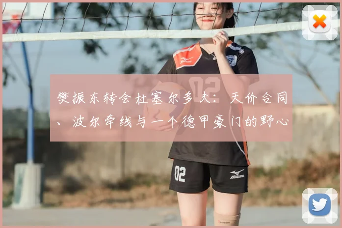樊振东转会杜塞尔多夫：天价合同、波尔牵线与一个德甲豪门的野心